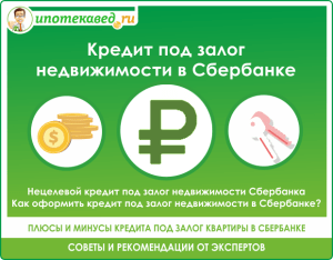 chto-takoe-necelevoj-kredit-s-zalogom