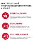 hronicheskaja-pochechnaja-nedostatochnost-u-koshek