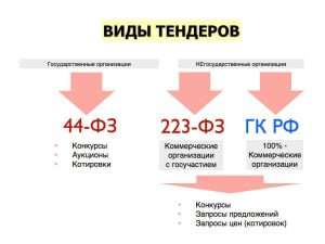 kak-uchastvovat-v-tenderah-na-sajte-goszakupok-rukovodstvo-dlja-nachinajushhih