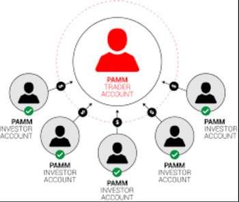 pamm-scheta-polnoe-rukovodstvo-dlja-investorov