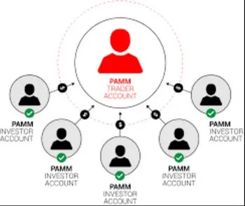 pamm-scheta-polnoe-rukovodstvo-dlja-investorov